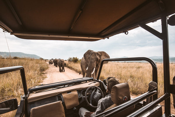 A Checklist of Must-Have Items for Your Safari Expedition