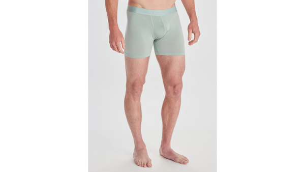 ExOfficio Men's Everyday 5" Boxer Brief